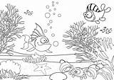 Sea Drawing Under Ecosystem Underwater Kids Sketch Easy Drawings Pond Paintingvalley Getdrawings Drawn Labels sketch template