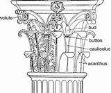 Greek Corinthian Column Capital Architecture Order Ionic Columns Ancient Architectural Doric Another Just History Classicalwisdom Roman Orders Acanthus Classical Read sketch template