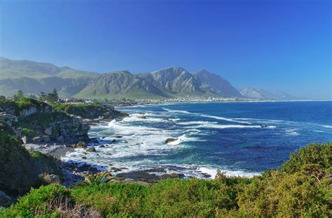 spend  days  hermanus  travel recommendations tours trips  viator