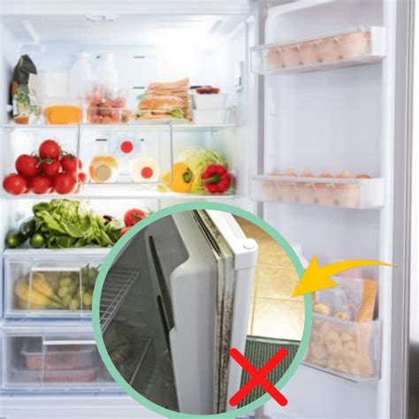 clean mold   refrigerator moldprotipscom