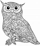Coloring Owl Pages Owls Print Adult Adults Mandala Baby Printable Animals Difficult Horned Colouring Flying Cute Drawing Great Color Screech sketch template