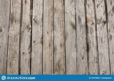 beautiful wood texture stock image image  backgrounds