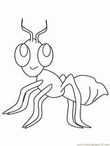 Hormiga Hormigas Fourmi Ants Furnica Colorat Fourmille Insectos Formigas Semut Ant Ant5 Colorier Vizite Kartun Bluebonnet Cat16 Anteater Hormigueros Desen sketch template