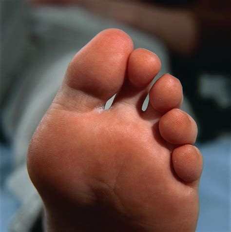 healthy toes and sole of a woman s foot photograph by damien lovegrove