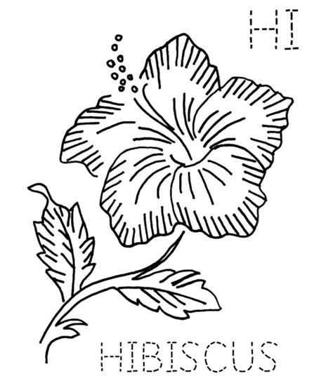 national flower trinidad  coloring pages