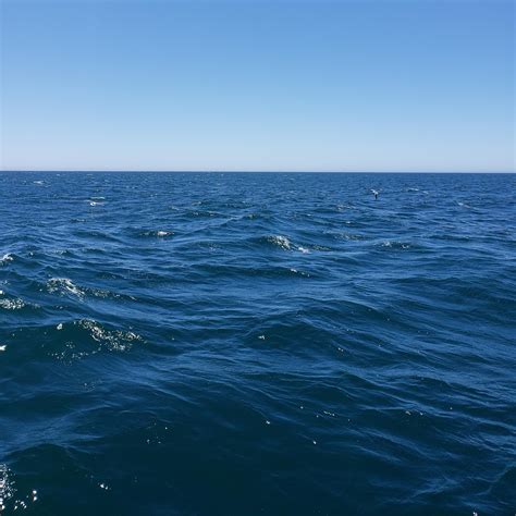 acrylic painting   paint realistic water ocean painting yvette