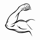 Arm Strong Vector Line Thin sketch template