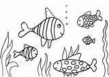 Fish Coloring Pages Simple Colouring Print sketch template