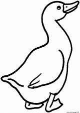 Goose Coloring Pages Printable Color Animal Farm Kids Template Info sketch template