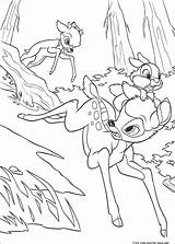 Coloring Bambi Faline Pages Thumper Friend sketch template