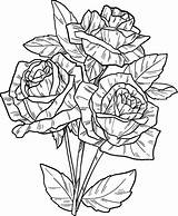 Roses Supercoloring sketch template