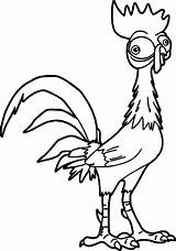 Moana Coloring Pages Chicken Hei Disney Heihei Colouring Template Printable Turtle Kids Wecoloringpage Clipartmag Choose Board sketch template