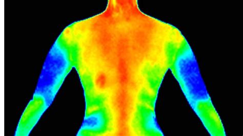 thermography absolute wellness center