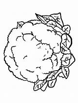 Cauliflower Coloring Pages Lettuce Drawing Vegetables Color Printable Kids Getcolorings Recommended Getdrawings sketch template