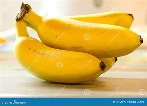 mini bananas stock image image  nutrition bananas