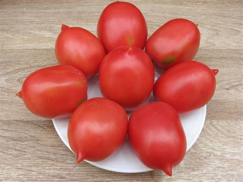 tomat de barao otzyvy foto opisanie sorta kharakteristika