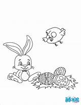 Conejo Huevos Pollito Pages Everfreecoloring Pascua sketch template
