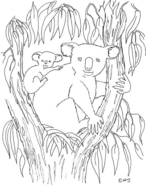 coloring pages  kids   adron koala  baby print  color page