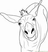 Donkey Coloringpages101 sketch template