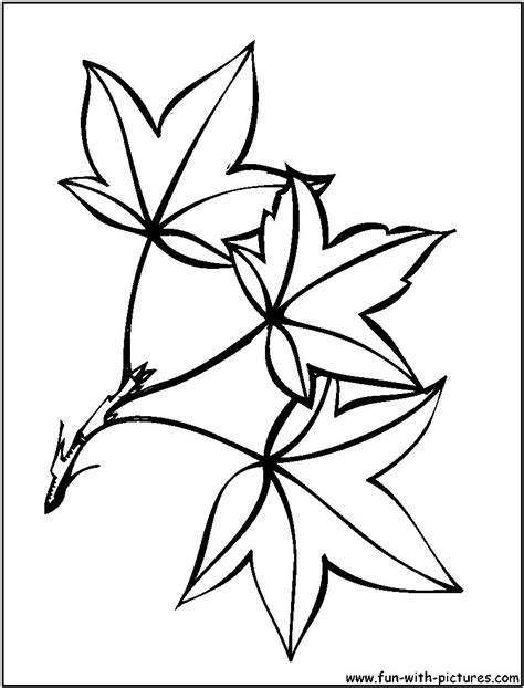 large leaf template coloring home