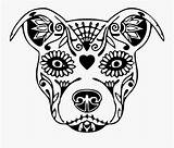 Pitbull Decal Clipartkey Pngfind sketch template
