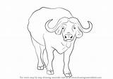 Buffalo African Draw Step Drawing Animals Animal Wild Drawingtutorials101 Drawings Coloring Pages sketch template