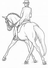 Dressage Horse Drawing Buy Getdrawings sketch template