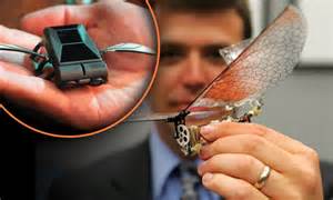 military drones    small     insects daily mail