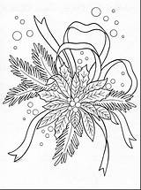 Coloring Poinsettia Christmas Pages Printable Adult Para Noche Sheets Buena Embroidery Drawing Colouring Fabulous Natal Navidad Cache Getdrawings Ec0 Getcolorings sketch template