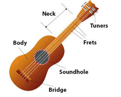 ukulele parts explained  lesson  parts  ukulele