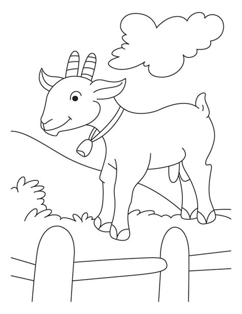 pictures  animals coloring kids goat  farm animal coloring pages