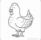 Coloring Book Chicken sketch template