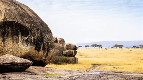 serengeti national park big  safaris great migration asanja africa