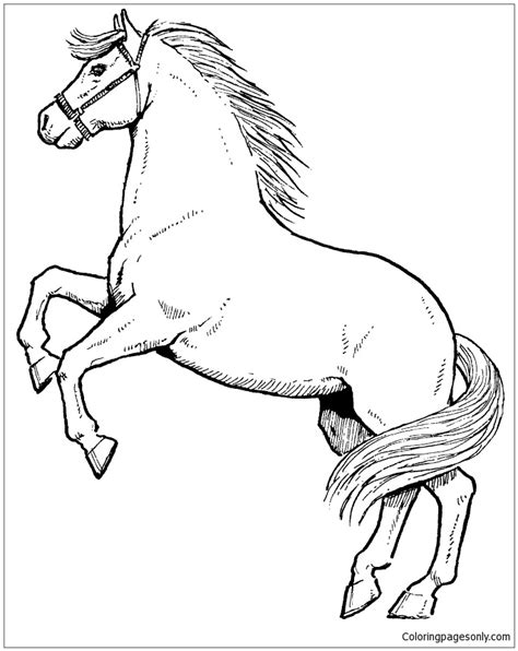 rearing horse coloring page  printable coloring pages