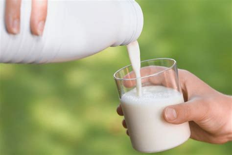 memilih packaging susu kualitas terbaik beritabariscom