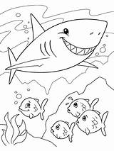 Shark Sharks Crayola sketch template