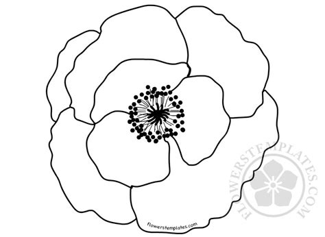 poppy flower template coloring page flowers templates