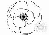 Poppy Flower Template Coloring Poppies Flowers Templates Flowerstemplates sketch template