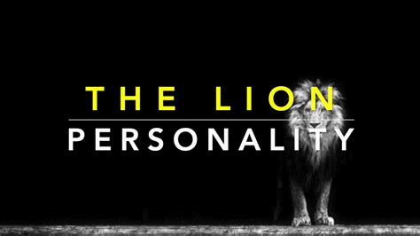 lion personality traits lion characteristics animal   youtube