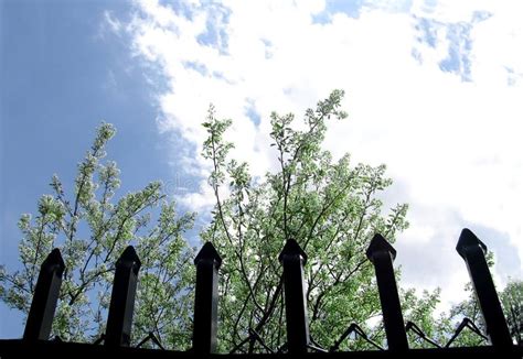 fence stock image image  blue tree clouds