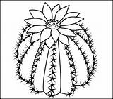 Coloring Cactus Pages Color Flowers Drawing Printable Number Easy Simple Online Flower Desert Para Printables Kids Coloritbynumbers Dibujos Adult Google sketch template
