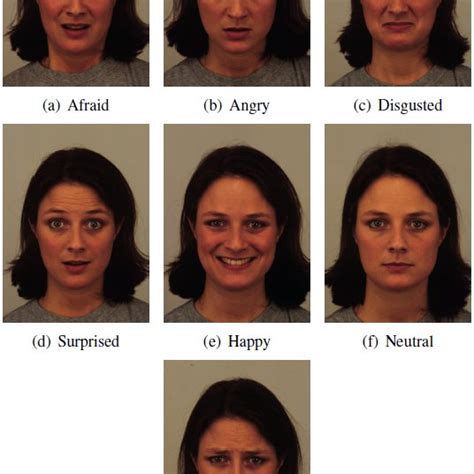 Karolinska Directed Emotional Faces Database Images Example Download
