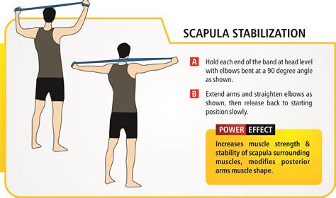 winged scapula exercises buymiragej