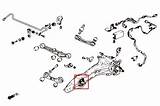 Trailing Arm Rear Bushings Integra Hardrace Reference Only May sketch template