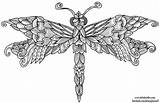 Dragonfly Coloring Pages Adults Colouring sketch template