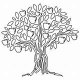 Coloring Tree Apple Pages Fruit Colouring sketch template