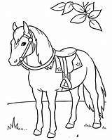 Coloring Horse Pages Saddle Horses Kids Printable Print Colouring Palomino Cartoon Color Sheets Girls Animals Animal Books Adult Farm Getcolorings sketch template