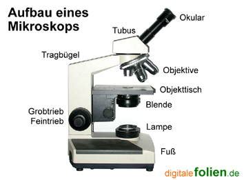 mediendatenbank biologie mikroskopiermaterial