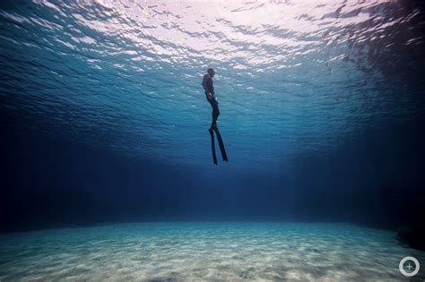 meet the freediving couple who make stunning underwater photos with no scuba gear