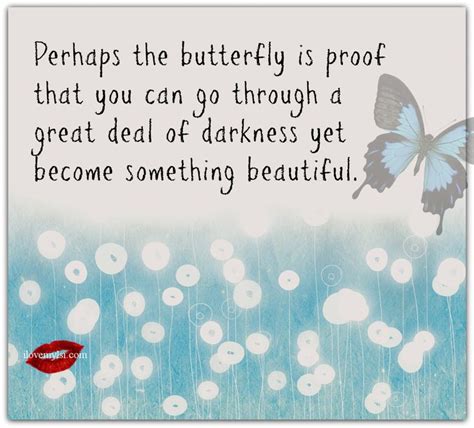 Perhaps The Butterfly Is Proof That You Can Go Through Darkness